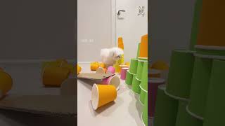 toys dogs puppies jump over cups [upl. by Zapot]