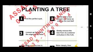 1424 solved assignment spring 2024  assignment no 1 [upl. by Lacsap]