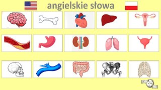 uczyć się angielskiego  części ciała po angielsku [upl. by Aicilram]