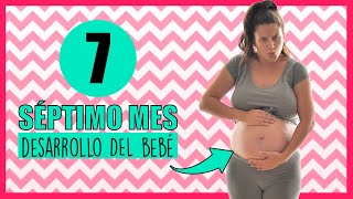 ❣️ MES 7 🤰 SÉPTIMO MES de embarazo cambios en la MADRE 📆 EMBARAZADA Semana a semana  MES a MES [upl. by Labors]