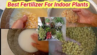 Best Fertilizer For Indoor Plants [upl. by Aihsrop640]