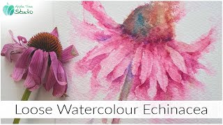 Loose Watercolour Echinacea [upl. by Daenis10]