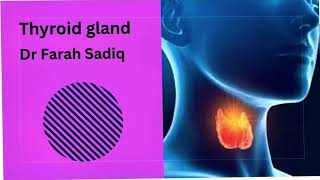 thyroid gland  hypothyroidism [upl. by Barsky]