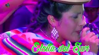 elsita del sur en vivo mix aymara IV COMPLETO [upl. by Pyle633]