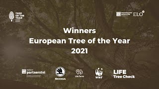 European Tree of the Year Award Ceremony [upl. by Damon368]