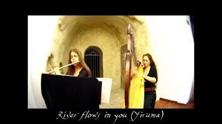 River flows in you Yiruma • Arpa Celtica e Flauto [upl. by Yrrehs]