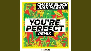 Youre Perfect Remix [upl. by Nacim]