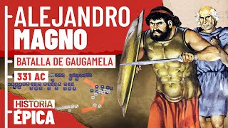 Alejandro Magno La Batalla de Gaugamela [upl. by Tertia519]