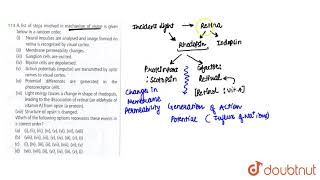 A list of steps involved in mechanism of vision is given below in a random order iNeural impu [upl. by Broddy]