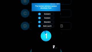 The human nervous system develops from biology brain [upl. by Nnyluqcaj]