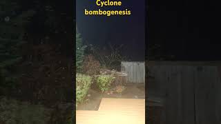 bombcyclonewindstorm natureweather USA [upl. by Neomah182]