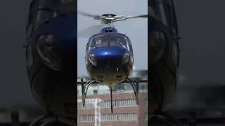 Airbus Helicopters AS355 helicopter aviation airbushelicopters youtubeshorts shortvideo shorts [upl. by Verney]