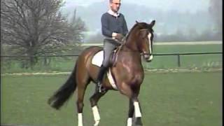 Dr Reiner Klimke mit Ahlerich DVD Dressurausbildung Dressage Training [upl. by Noivert]