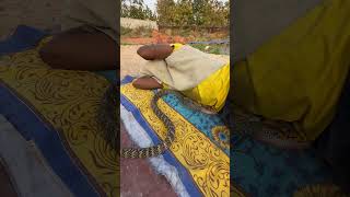 सोते हुए आदमी के पास दिखा सांप 🐍😱snake climbing on farmer 😰shorts [upl. by Yur]