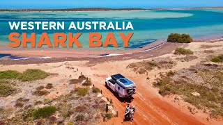 AUSTRALIAS BEST NATURE Road trip SHARK BAY MONKEY MIA amp Francois Peron [upl. by Oinotla]