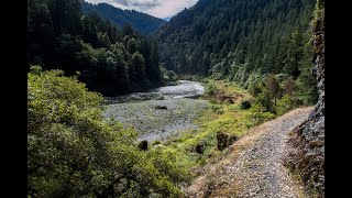 Wild Rogue Loop Trail Run [upl. by Gorrono]