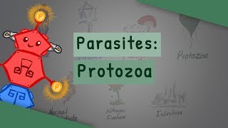 Parasites Protozoa classification structure life cycle [upl. by Echikson]