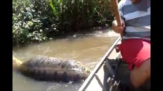 Giant Anaconda Video Goes Viral on Facebook REACTION [upl. by Naillig]