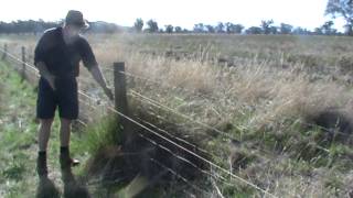 Fencing  how to make conventional fence last years with electric fence offset [upl. by Trilly]