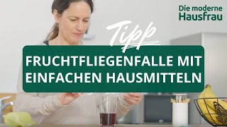 Fruchtfliegen langfristig loswerden  mit Hausmitteln Fruchtfliegenfalle [upl. by Moishe]