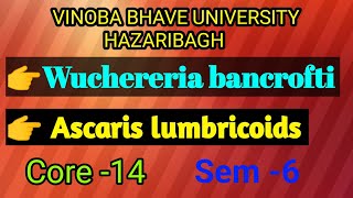 Wuchereria bancroftiAscaris lumbricoidsBSc 3rd yearwith proper notes [upl. by Haleigh]