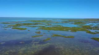 20190420 East Matagorda Bay [upl. by Adamsun]