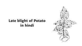 Understanding Late Blight of Potato in hindi  Causes of Damage to Potato Crops and Prevention [upl. by Atelra228]