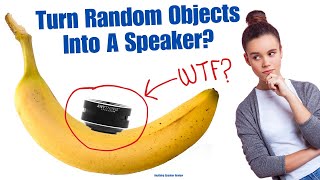 Anything Speaker Review 2024  Turns Random Objects Into A Speaker [upl. by Lorolla]