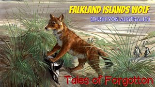 Falkland Island Wolf  Tales of Forgotten [upl. by Ardyth]