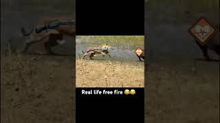 Solo review challenge 😂😂freefire [upl. by Naivaj]