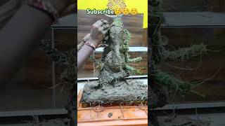 Ganesh making with durva grass ganesh making durva grass vinayak shorts ecofriendly 2024 yt [upl. by Chader]