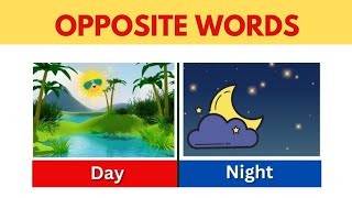 five opposite word  opposite words  opposite words in english [upl. by Sirroned]