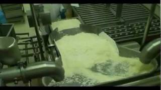 Haloumi cheese production line [upl. by Picco]