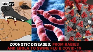 Zoonotic diseases From Rabies and Ebola to Swine Flu amp Covid19 [upl. by Macmahon211]