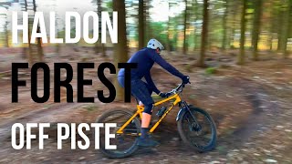 Awesome Haldon Forest MTB  Off Piste Trails [upl. by Marylou]