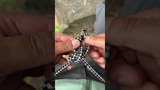 Incredible Quick Rope Belt Knot！camping bushcraft survival [upl. by Bohner]