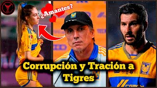 El Corrupto De SIBOLDI y la TRAICIÓN a TIGRES [upl. by Aerona723]