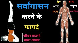 सर्वांगासन करने के 7 फायदे  sarvangasana benefits in hindi  Yogasana 🧘‍♂️  Sarvangasana  shorts [upl. by Wymore]