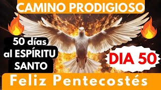 Día 50 🔥🔥 CAMINO PRODIGIOSO 50 DIAS ESPÍRITU SANTO 🔥🎉FELIZ PENTECOSTÉS pidiendo LO EXTRAORDINARIO [upl. by Mailli]