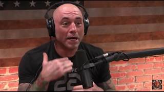 Joe Rogan  Male Feminists Are Weasels [upl. by Lyrrehs]