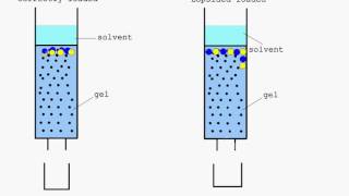 Column Chromatography animation YouTube [upl. by Gauntlett]