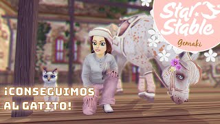 CONSEGUIMOS AL GATITO INVERNAL y hacemos la ÚLTIMA carrera de NAVIDAD  Star Stable 🌸45 Gemaki [upl. by Ojytteb]