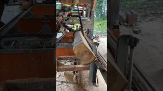 Milling White Birch for Endless Woodworking Creations woodworking sawmill aserradero o [upl. by Aphra]