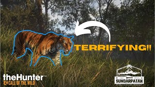 THE TIGERS IN SUNDARPATAN NEPAL ARE TERRIFYING IN HUNTER CALL OF THE WILD [upl. by Pedaiah]