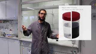 Carbon Nanotubes in the Lab [upl. by Haraz]