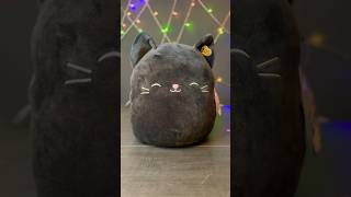 I want my own BLACK CAT 🐈‍⬛ SQUISHMALLOW planet squishmallows shorts [upl. by Nady]