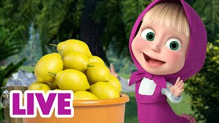 🔴 LIVE STREAM 🎬 Masha and the Bear 🧊👉 Find The Best Refreshing Episodes Here 👈🍨 [upl. by Mona]