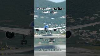 What the Landing Looks Like Vs The Yoke kevlanding avgeek funny aviation aviationspotter [upl. by Bramwell]