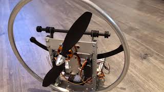 HOBBYKING new paramotor chute [upl. by Scott222]