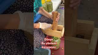 Zeytin Kırma zeytin gemlik cukurova [upl. by Otreblaug]